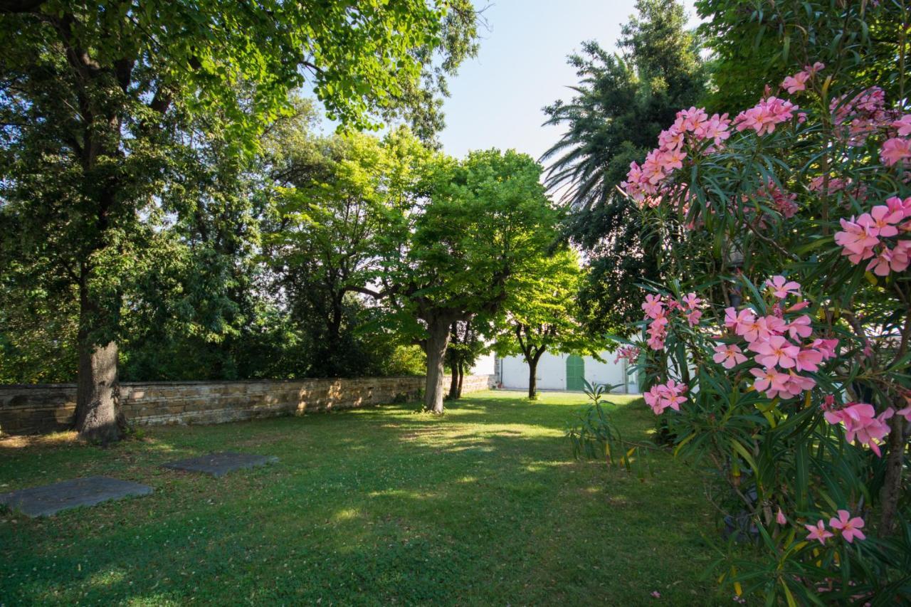 Domus Stella Maris - Casa Per Ferie Hotel Ancona Eksteriør billede